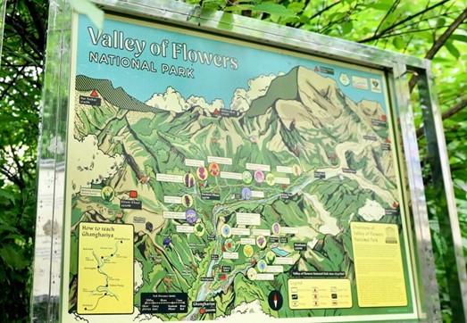 Valley of Flowers